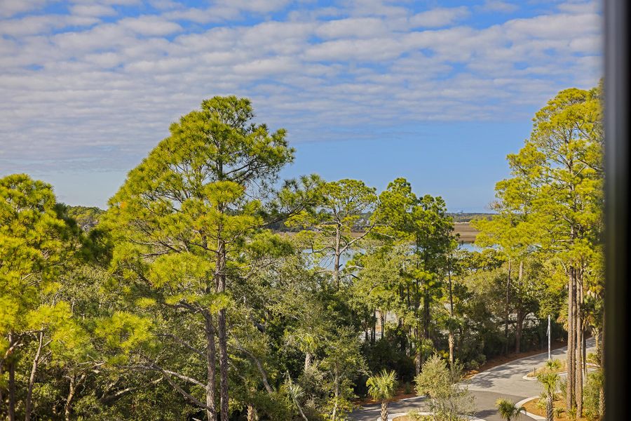 Natural landscape and outdoor views near in Kiawah Island (Image 43). Natural landscape and outdoor views near in Kiawah Island (Image 43).