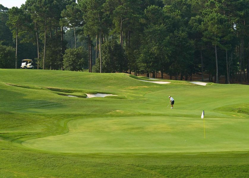 Natural landscape and outdoor views near Mulberry Landing in Orangeburg (Image 33).