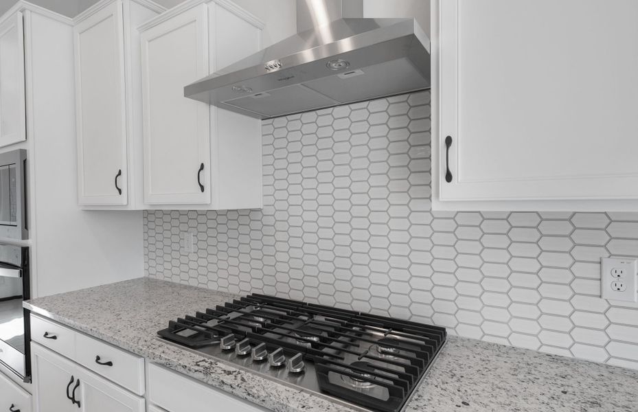 Close-up of interior finishes inside a home in Sun City Anthem at Merrill Ranch, Florence (Image 18).