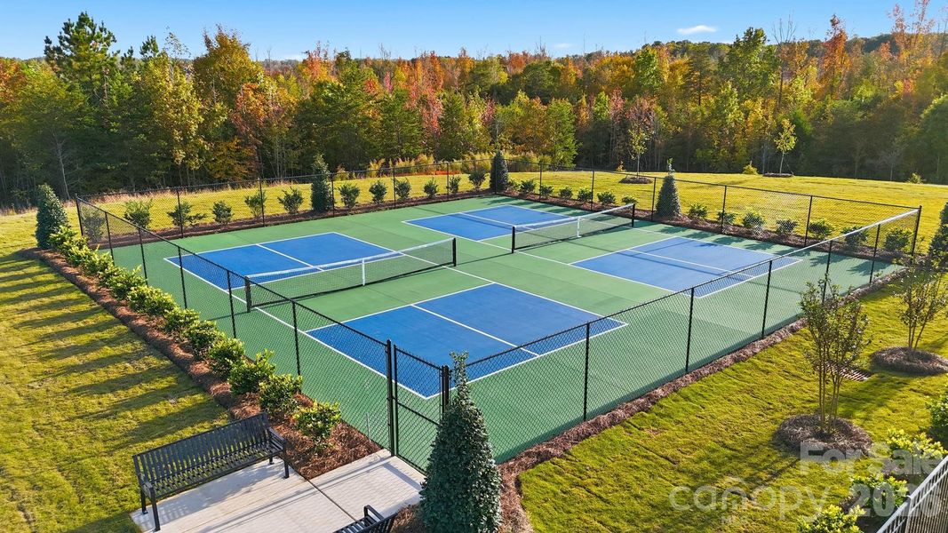 Amenity Clubhouse Amenity Clubhouse