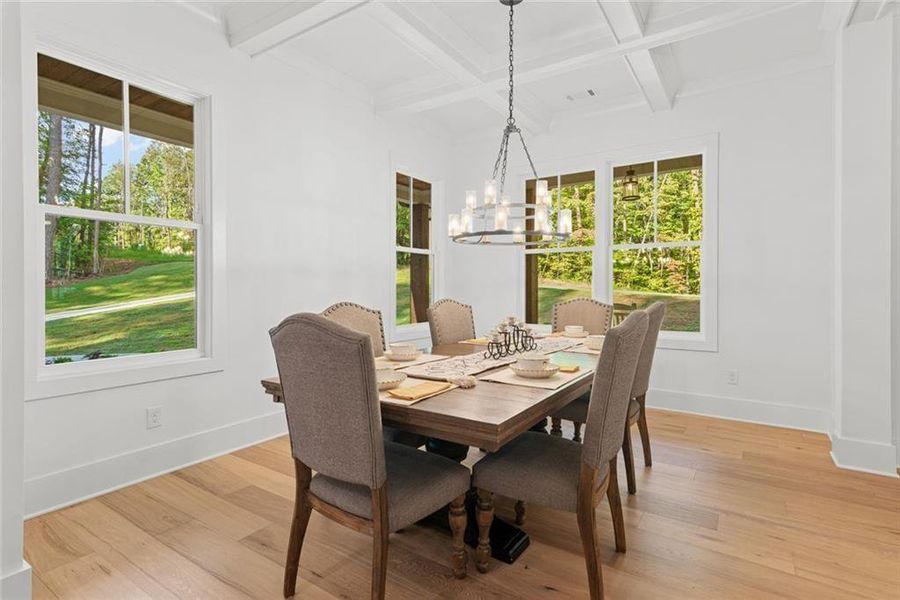 Furnished interior view inside a new home in , Ball Ground (Image 7).