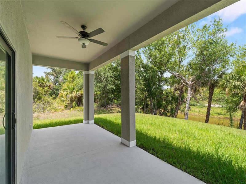 Rear Patio Rear Patio
