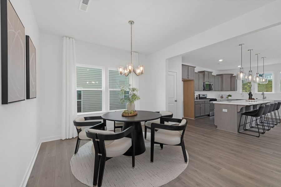 Furnished interior view inside a new home in Copper Ridge at Flowers Plantation, Clayton (Image 9).