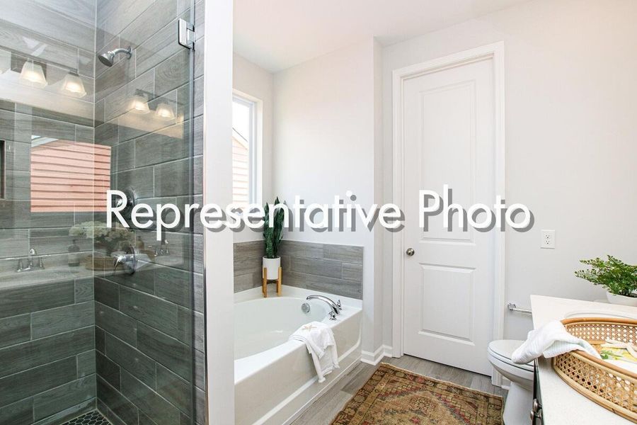 Furnished interior view inside a new home in , Ravenel (Image 6). Furnished interior view inside a new home in , Ravenel (Image 6).