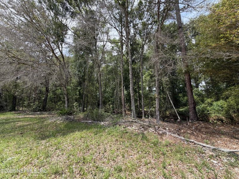 Natural landscape and outdoor views near  in Starke (Image 33).