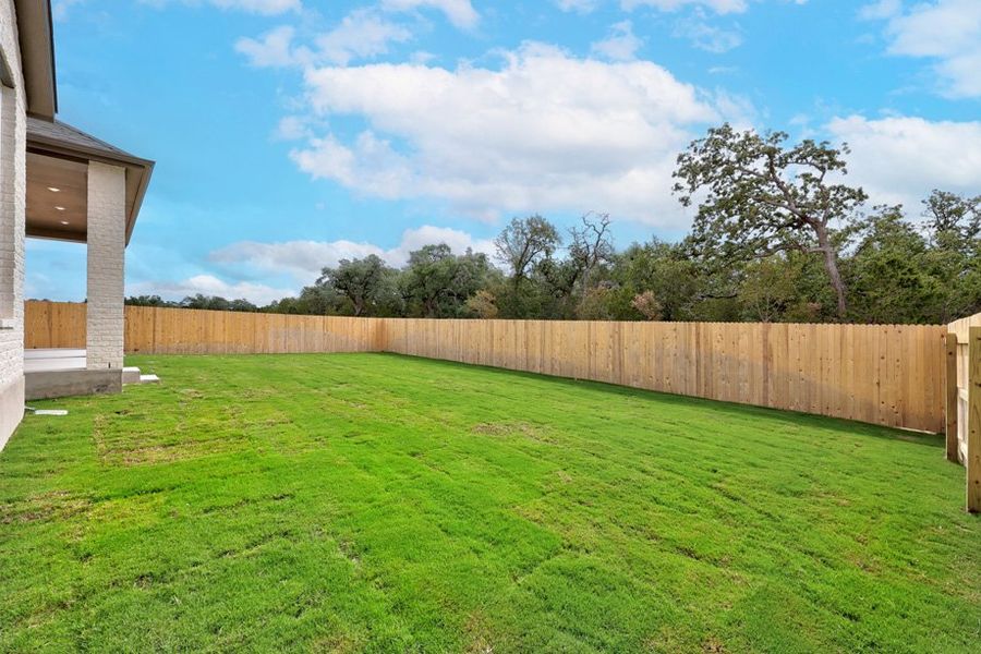 Backyard