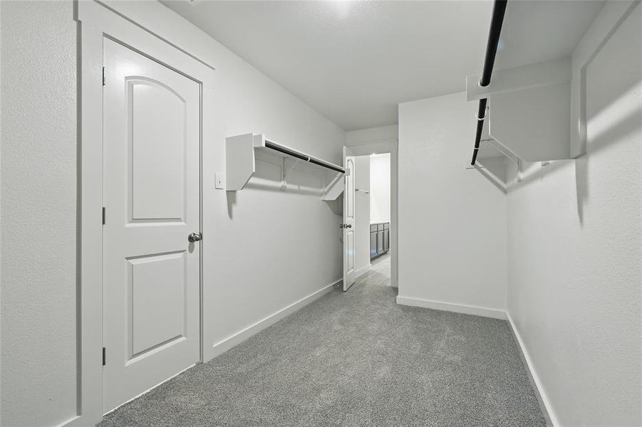 Spacious closet featuring carpet floors