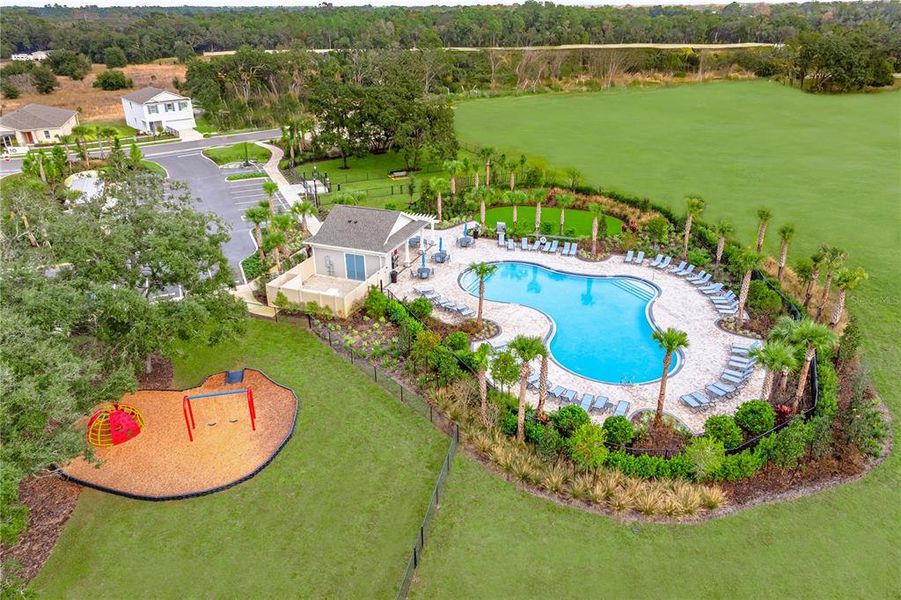 Community amenities in Palm Wind, Hudson (Image 35).