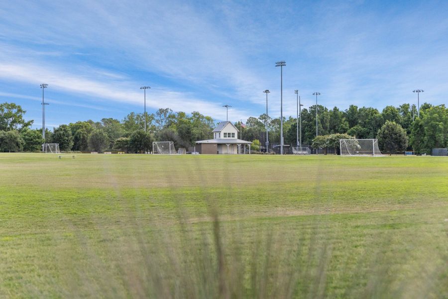 Natural landscape and outdoor views near  in Charleston (Image 70).