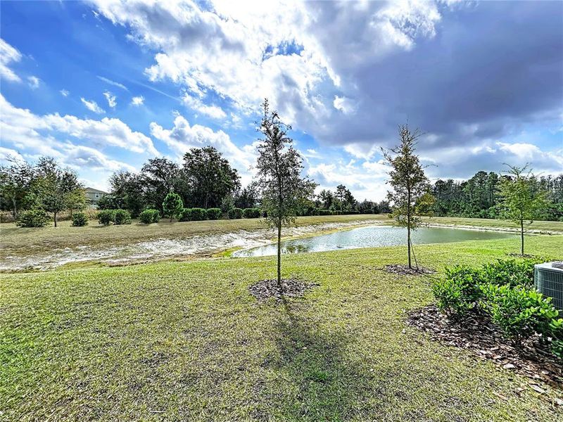 Natural landscape and outdoor views near in Land O' Lakes (Image 58). Natural landscape and outdoor views near in Land O' Lakes (Image 58).