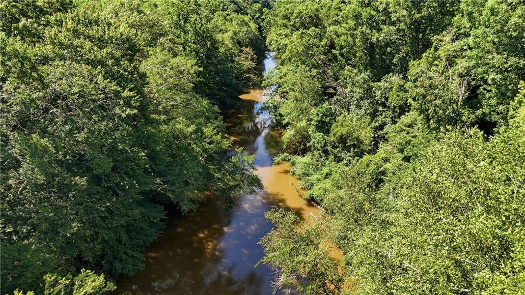 Natural landscape and outdoor views near  in Conyers (Image 16).