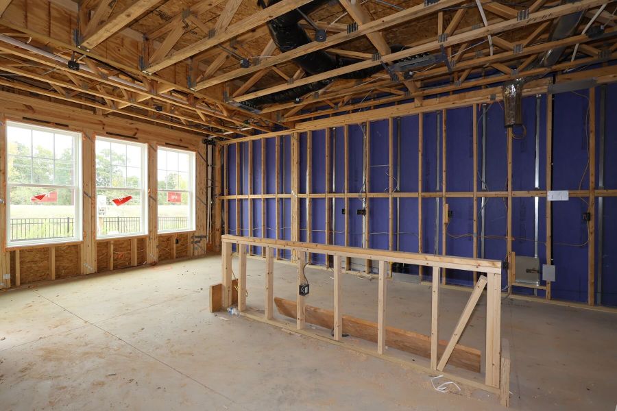 Framing Framing