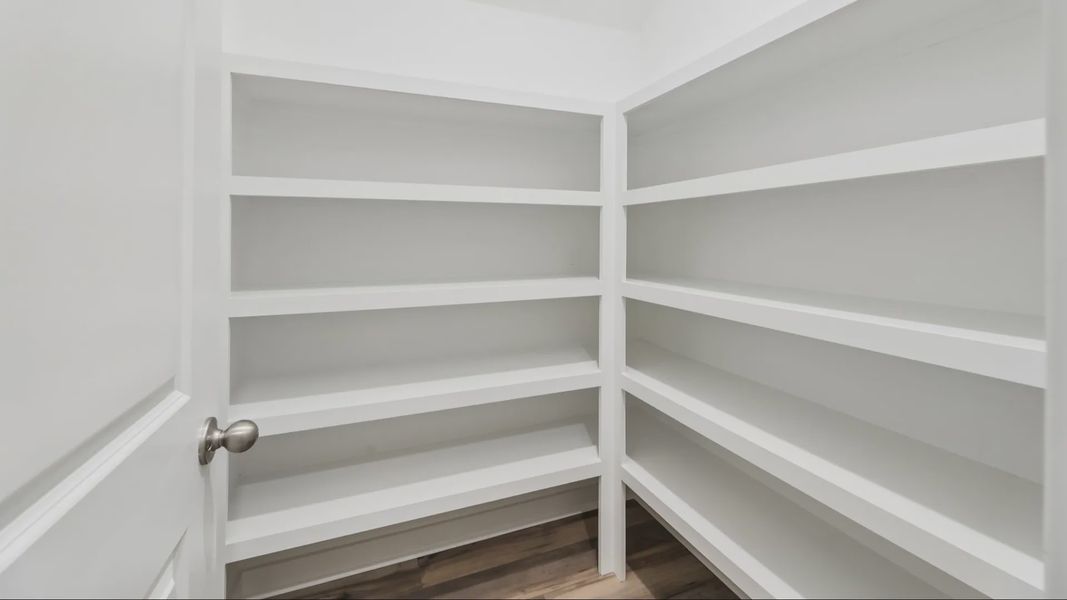 Pantry with built-in shelves