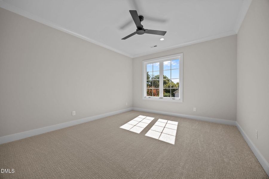 52-web-or-mls-IMG_3847