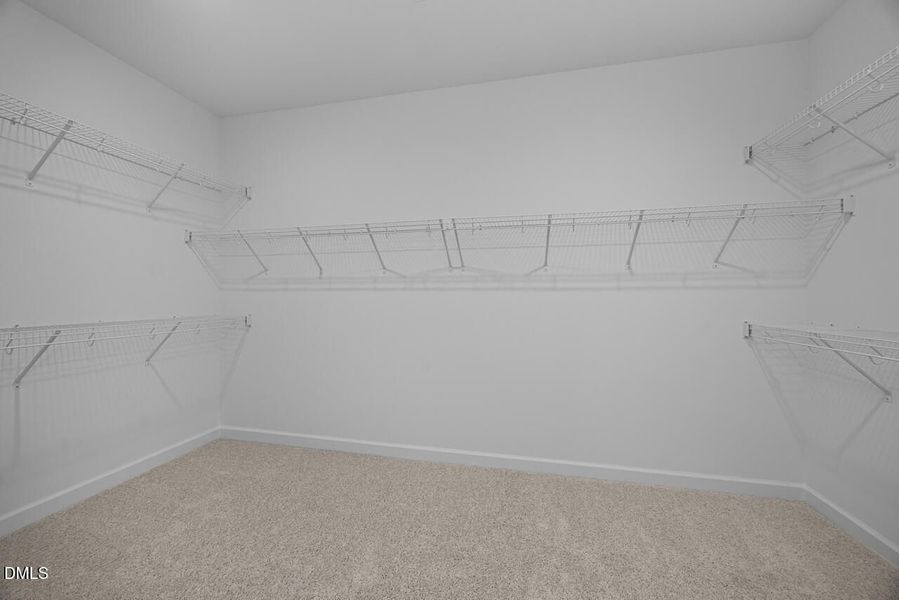 Spacious, unfurnished interior of a new home in Montrose, Aberdeen (Image 26).