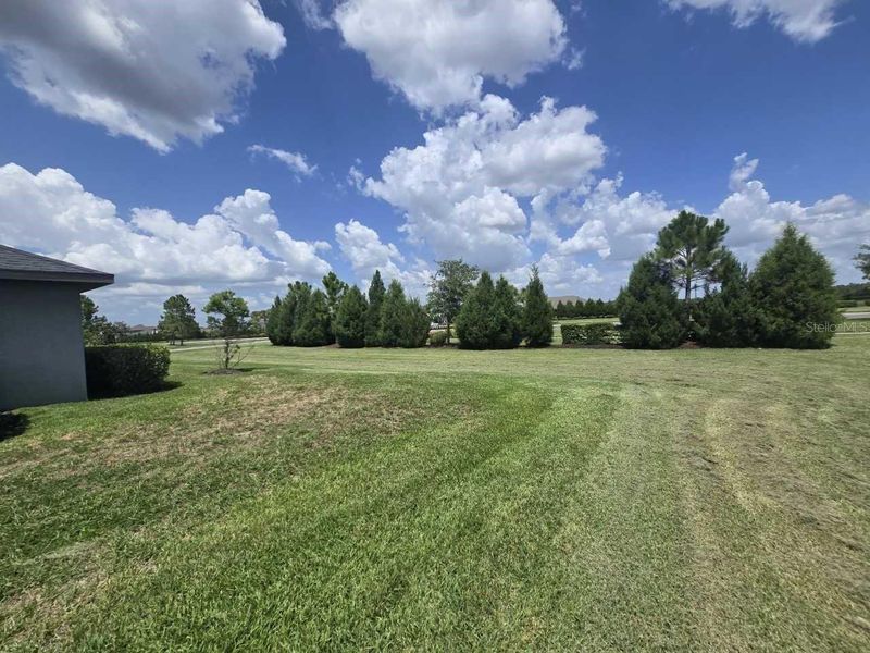 Natural landscape and outdoor views near Aviary at Rutland Ranch in Parrish (Image 14). Natural landscape and outdoor views near Aviary at Rutland Ranch in Parrish (Image 14).
