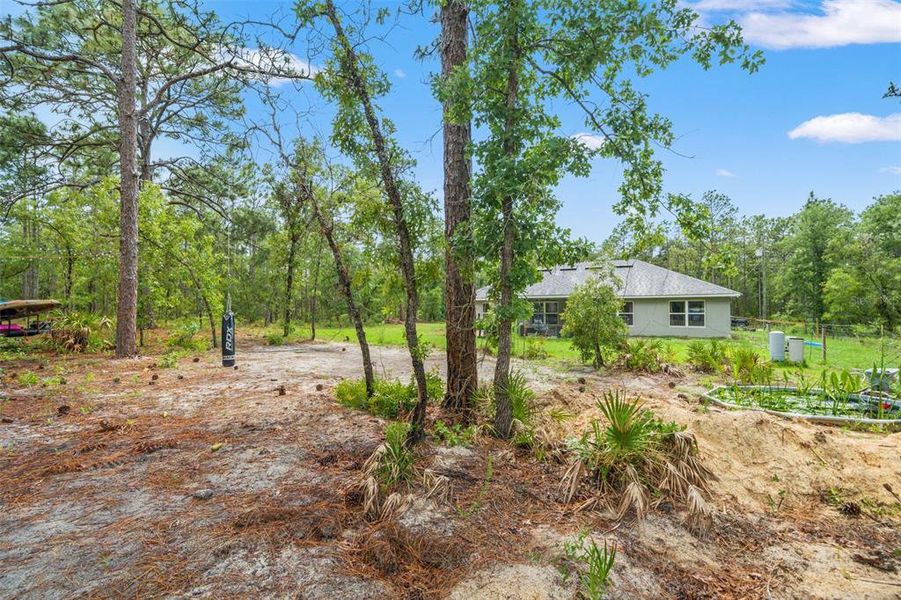 Natural landscape and outdoor views near Royal Highlands in Brooksville (Image 39).