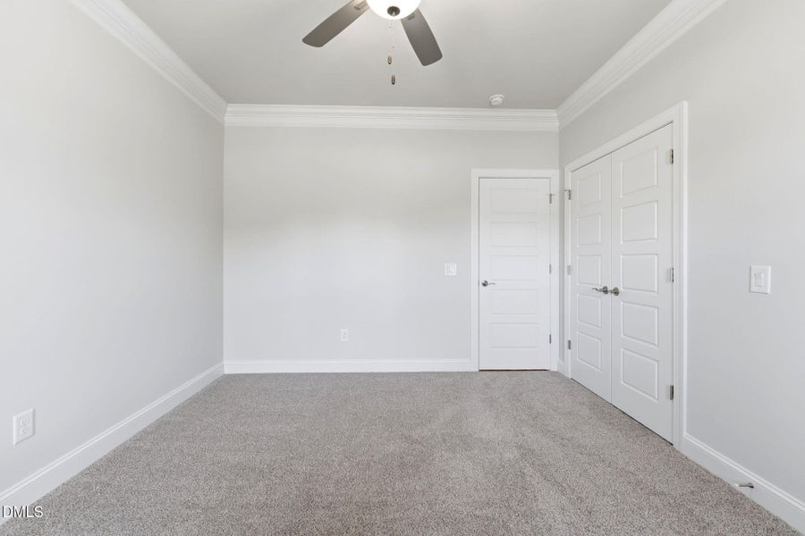 46-web-or-mls-DSC07045