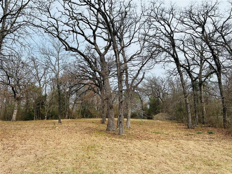 Natural landscape and outdoor views near  in Log Cabin (Image 21).