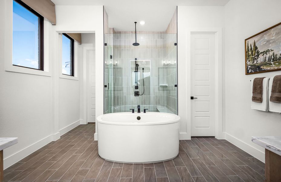 Luxurious Freestanding Tub and Walk-In Shower Luxurious Freestanding Tub and Walk-In Shower