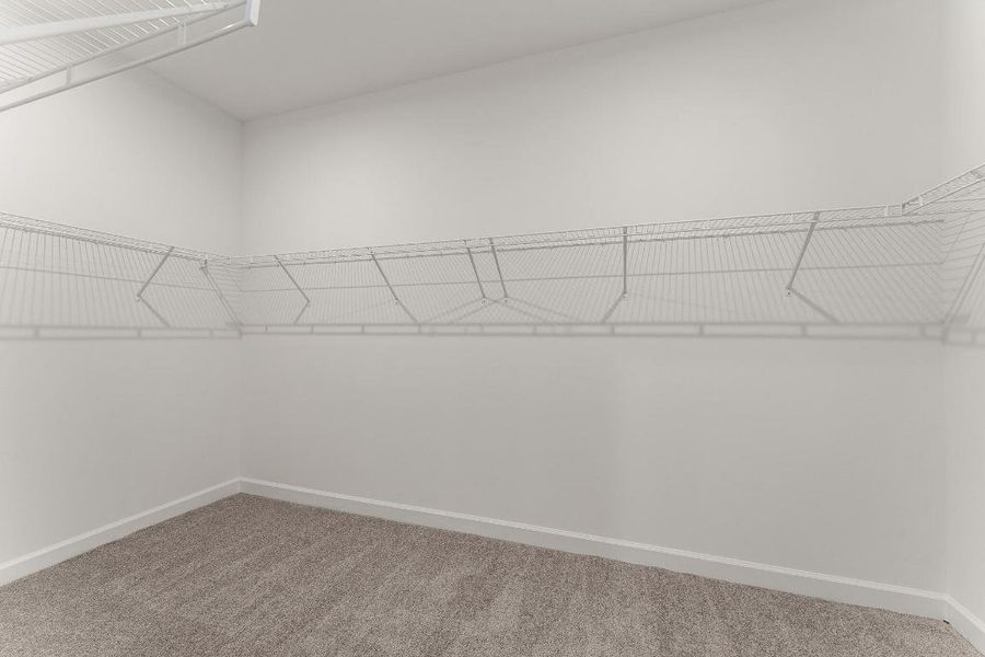 US_SEF_CITRON_LOT 87_owners closet