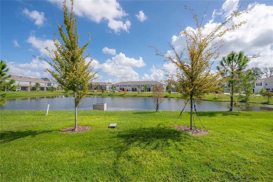Natural landscape and outdoor views near  in Wimauma (Image 45).