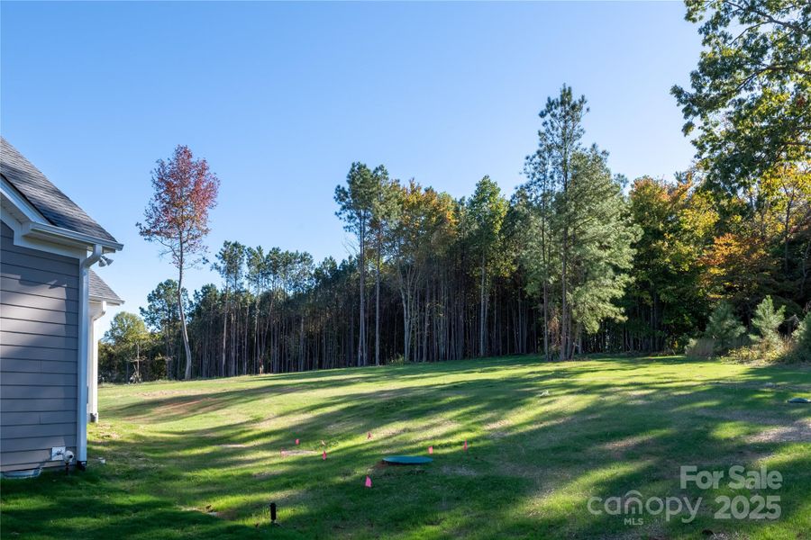 Natural landscape and outdoor views near in Sherrills Ford (Image 26). Natural landscape and outdoor views near in Sherrills Ford (Image 26).