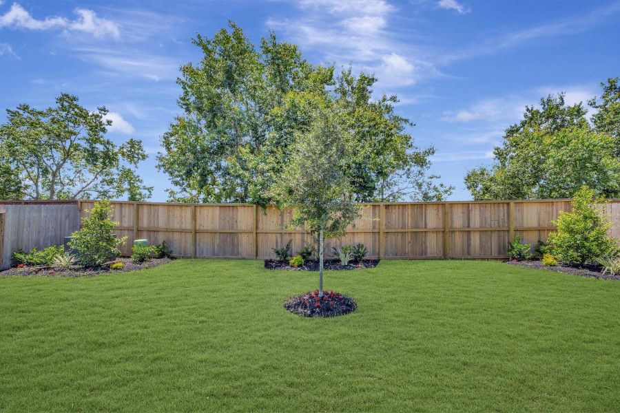 Lush landscaping in the backyard