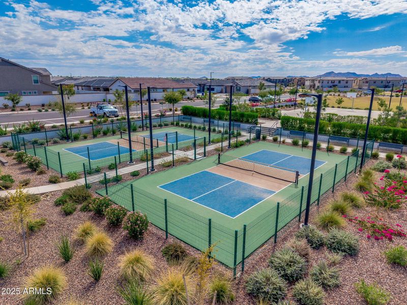 Community Area Community Area