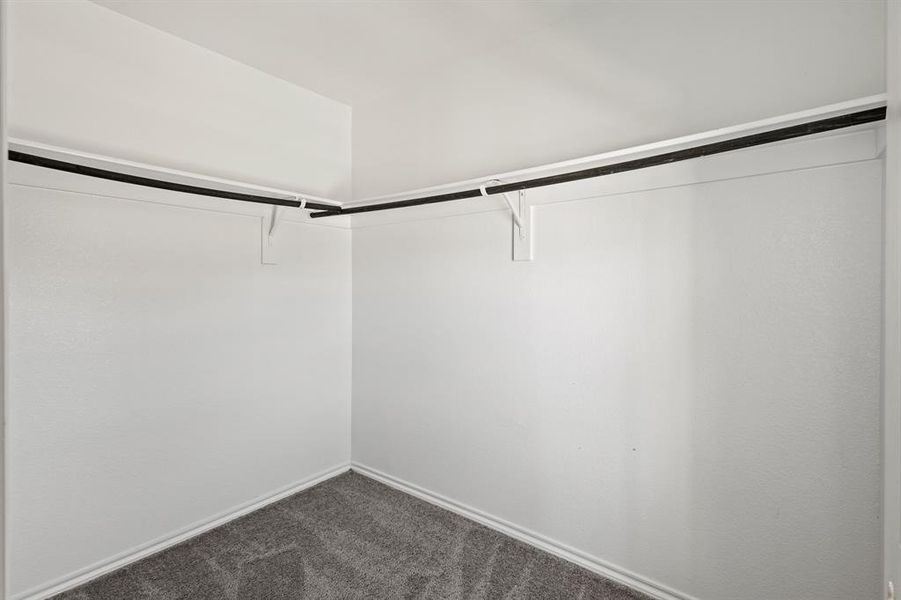 Walk in closet with carpet Walk in closet with carpet