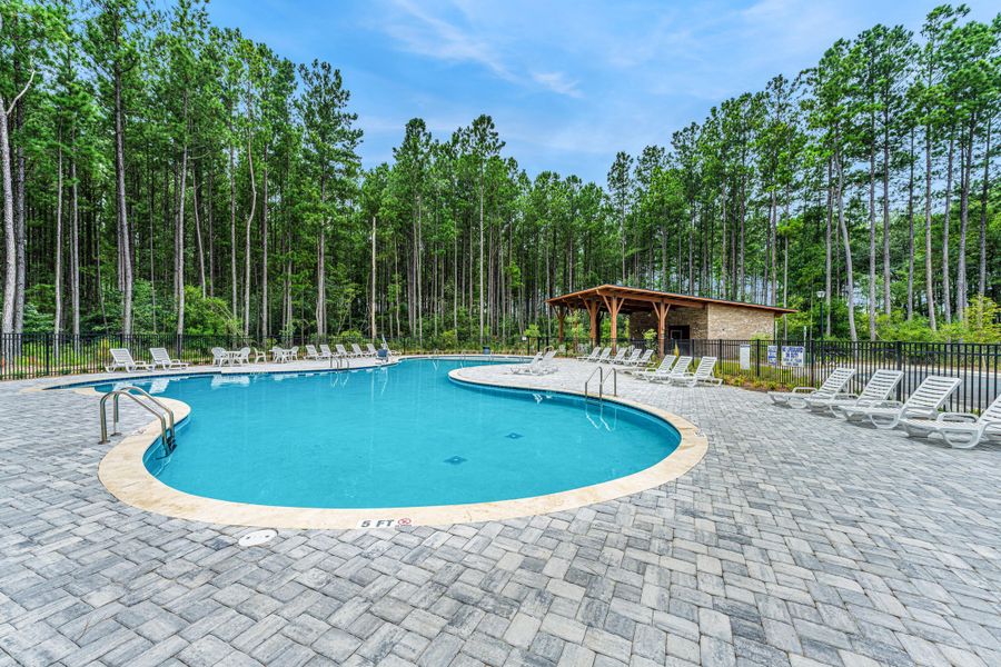 Community amenities in Lochton, Summerville (Image 22).