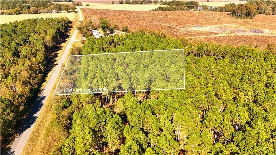 Natural landscape and outdoor views near  in Chester (Image 9).