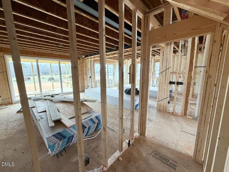 Photo Feb 16 2026, 10 52 20 AM (Medium)