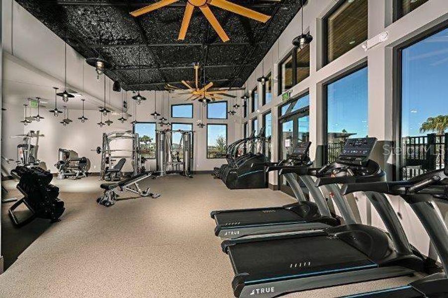 Community amenities in , Wesley Chapel (Image 22). Community amenities in , Wesley Chapel (Image 22).