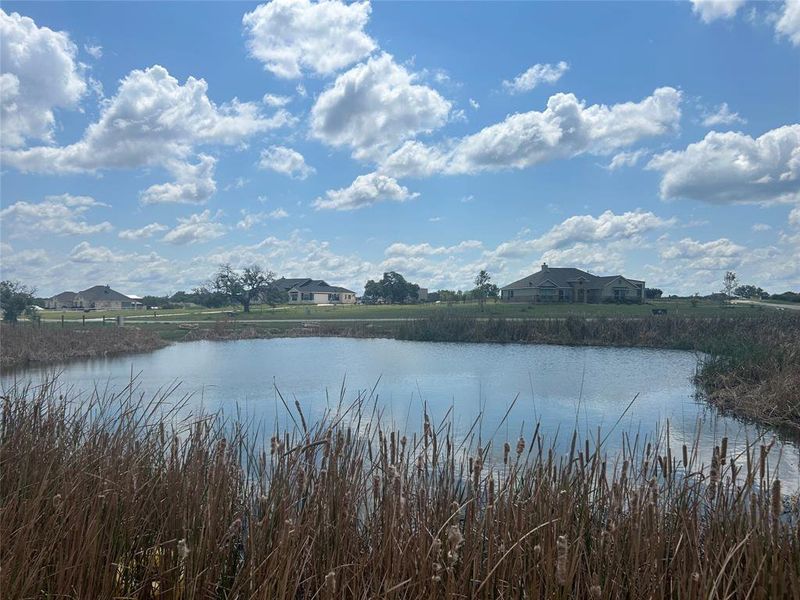 Water view at neighborhood pond Water view at neighborhood pond