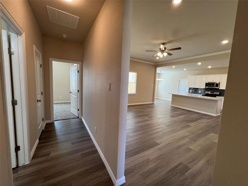 Hall featuring sink, dark wood-type flooring, and ornamental molding