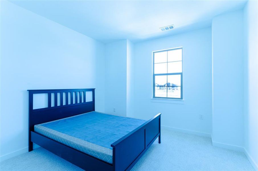 Bedroom with carpet floors