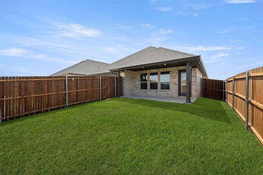 2845 Holstein- Back-1