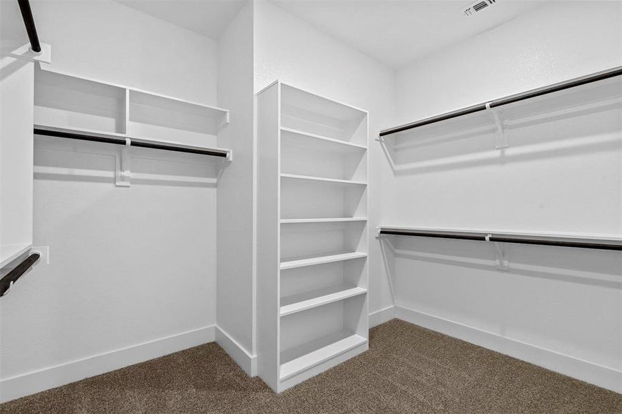 Walk in closet with dark colored carpet