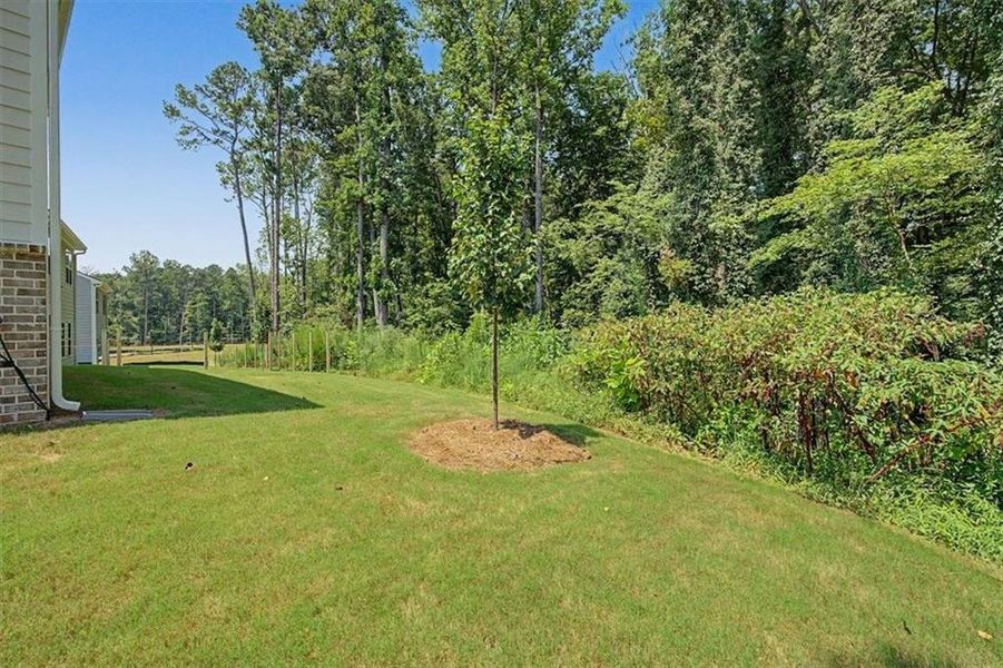 Natural landscape and outdoor views near Sawmill Creek in Austell (Image 43).