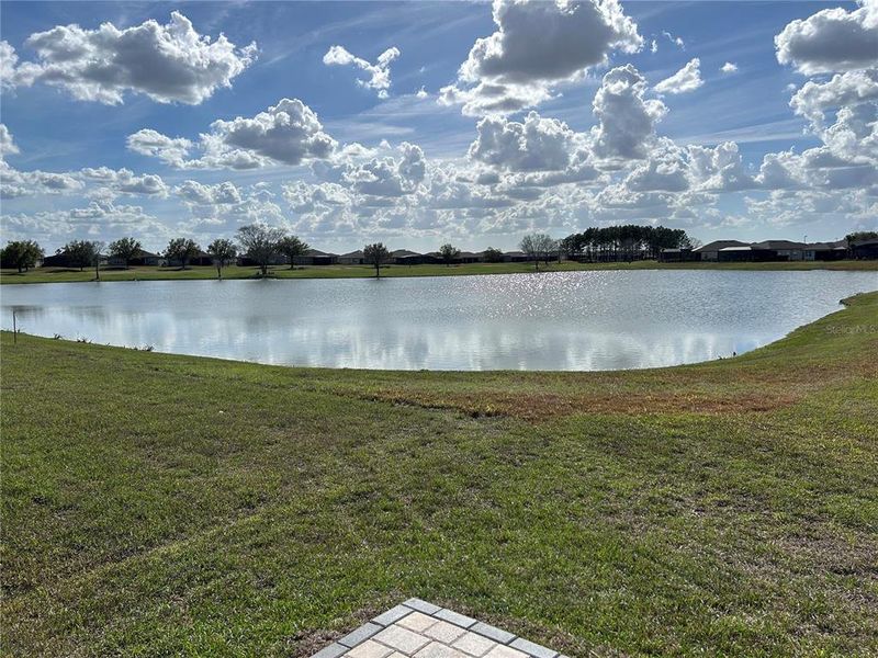 Natural landscape and outdoor views near  in Ocala (Image 45).