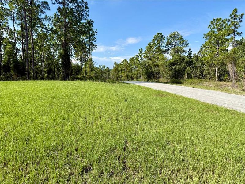 Natural landscape and outdoor views near in Dunnellon (Image 15). Natural landscape and outdoor views near in Dunnellon (Image 15).