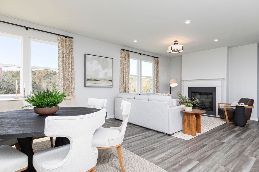 Dining Area and Family Room