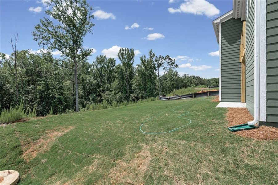Exterior details and patio area of a home in Twin Lakes, Hoschton (Image 34).