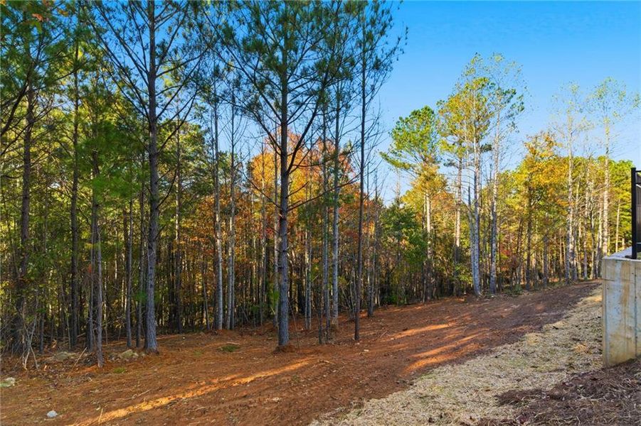 Natural landscape and outdoor views near  in Jasper (Image 34).