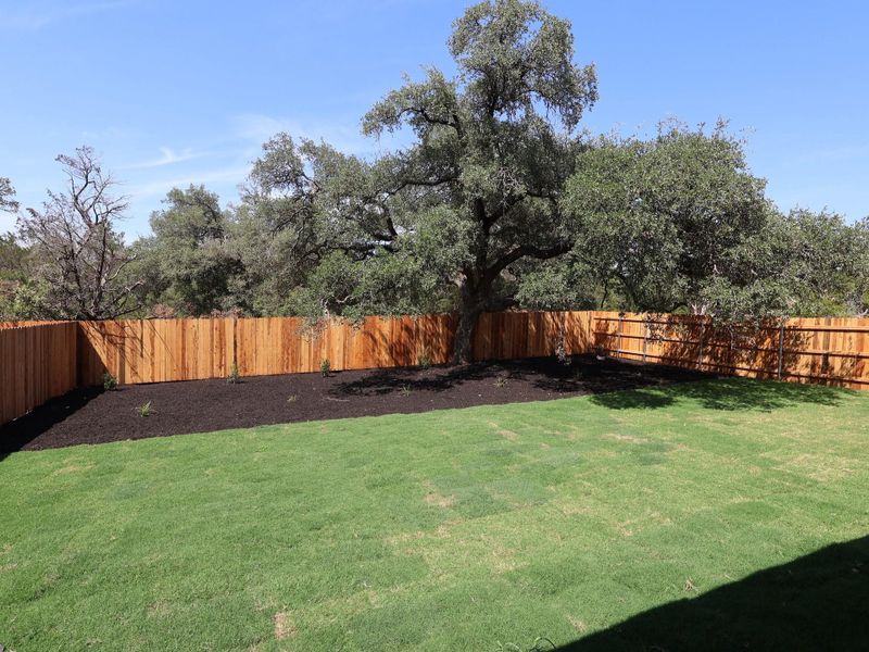 Natural landscape and outdoor views near Edgewood in Leander (Image 34).