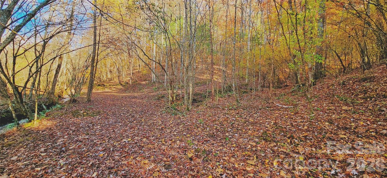 Natural landscape and outdoor views near  in Murphy (Image 26).