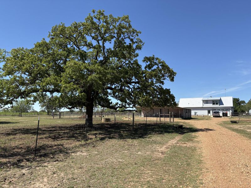 View of Home, driveway and  Shady Oak