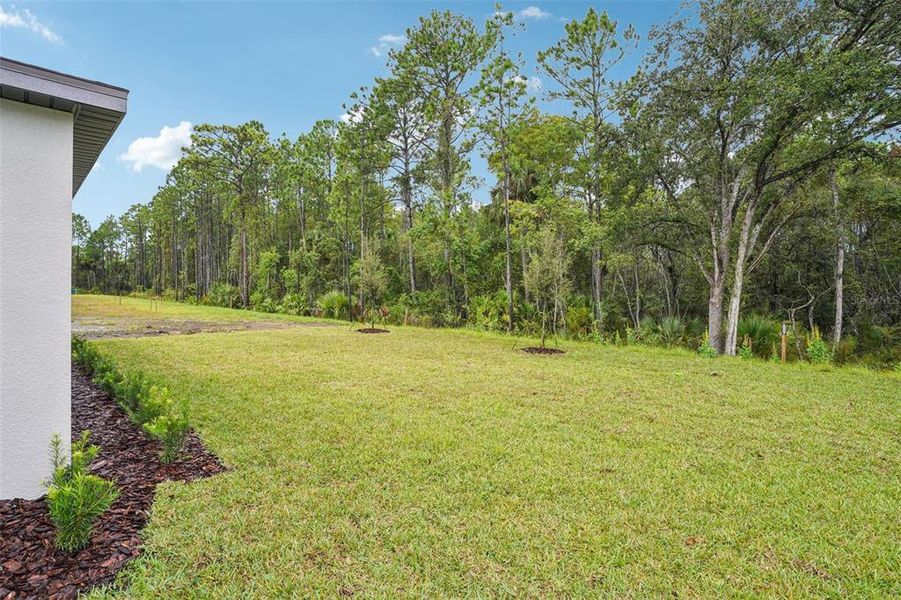 Exterior details and patio area of a home in Ridgehaven - Signature Series, Ormond Beach (Image 28).