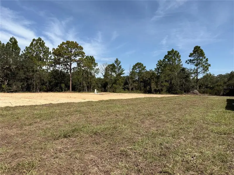 Natural landscape and outdoor views near  in Dunnellon (Image 12).